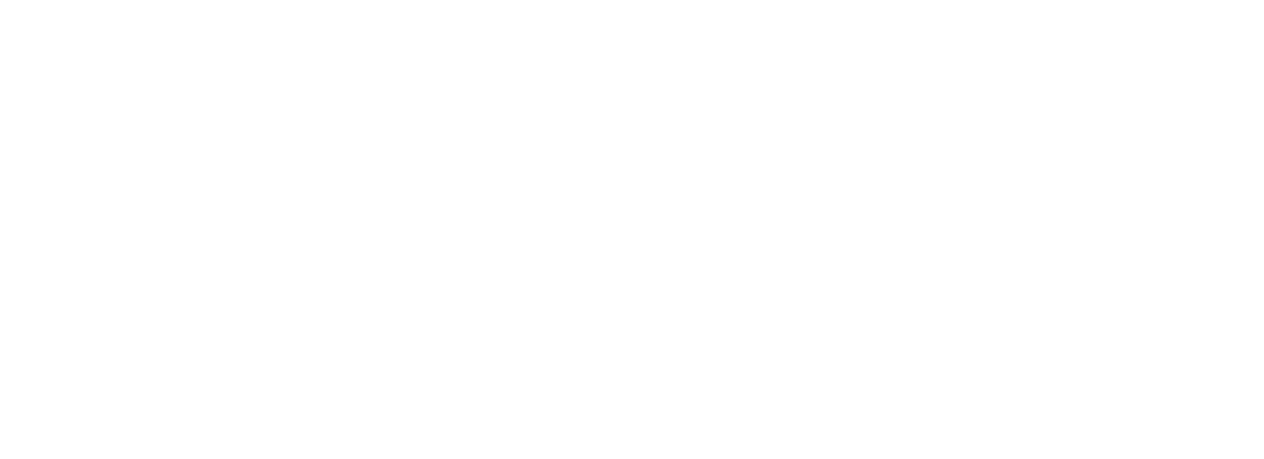 swimvincible logo